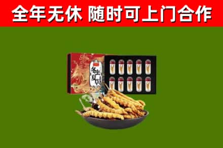 包河回收冬虫夏草价格